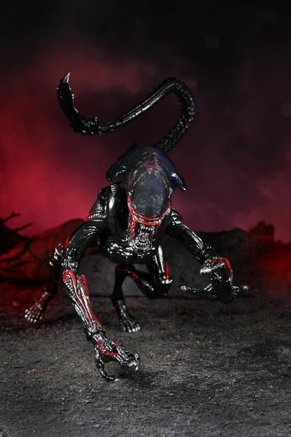 NECA Alien Night Cougar-  Tribute Kenner