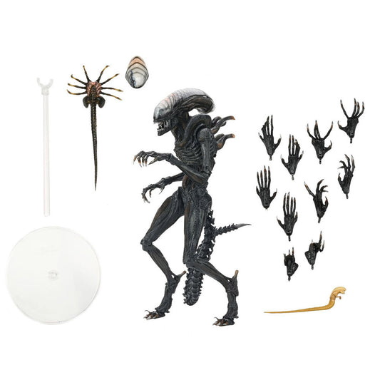 NECA Ultimate Alien Romulus Scorched Xenomorph